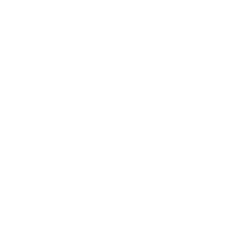 The Bolt Action Dude